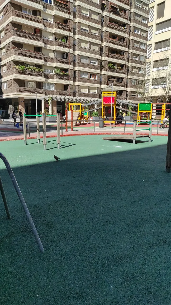 Kalistenia Parkea, Street Workout — estudio de fitness-studio en San Sebastián — 4