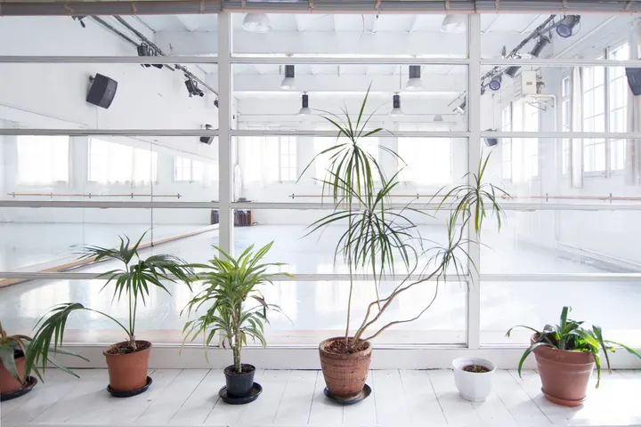 AREA SPAI DE DANSA Y CREACIO — Baile en Gràcia, Barcelona