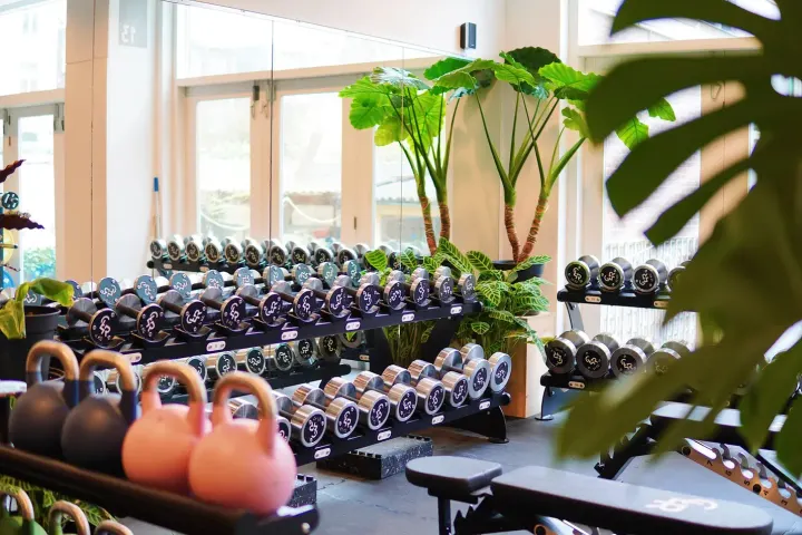 CLR Performance — Krachttraining in Crooswijk, Rotterdam
