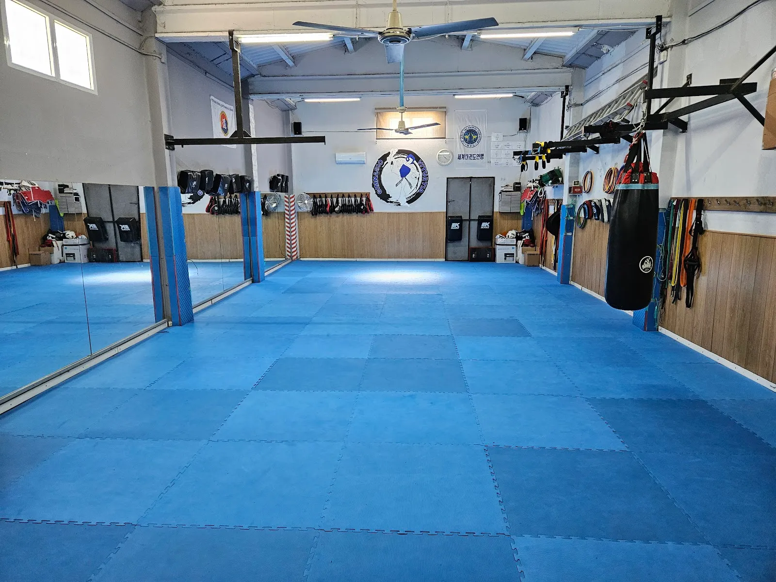 Gimnasio Viturtia Taekwondo Hapkido — artes marciales-studio en Manresa — 4