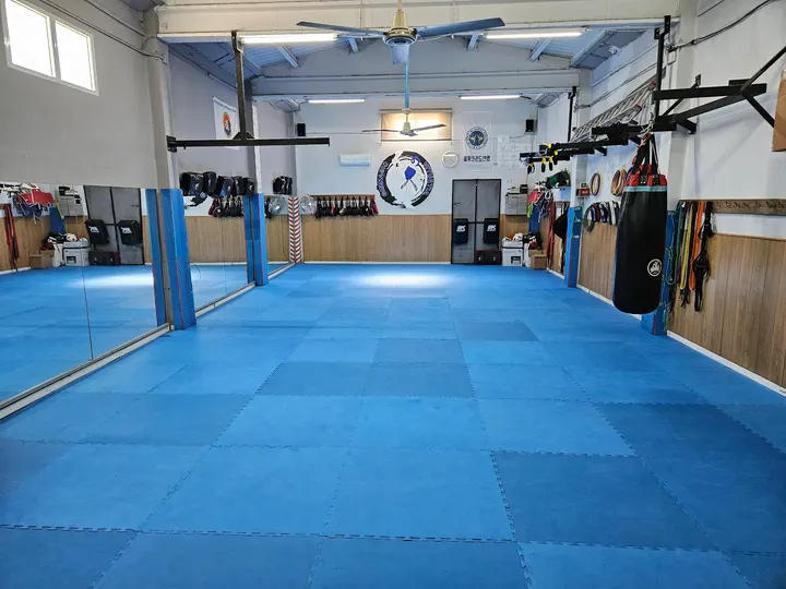 Gimnasio Viturtia Taekwondo Hapkido — artes marciales-studio en Manresa — 4