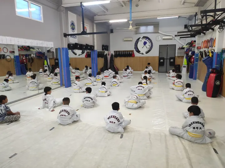 Gimnasio Viturtia Taekwondo Hapkido — Artes marciales en Plaça Catalunya - Saldes, Manresa