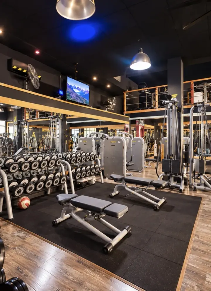 Fit Point Active — Palestre a Sava