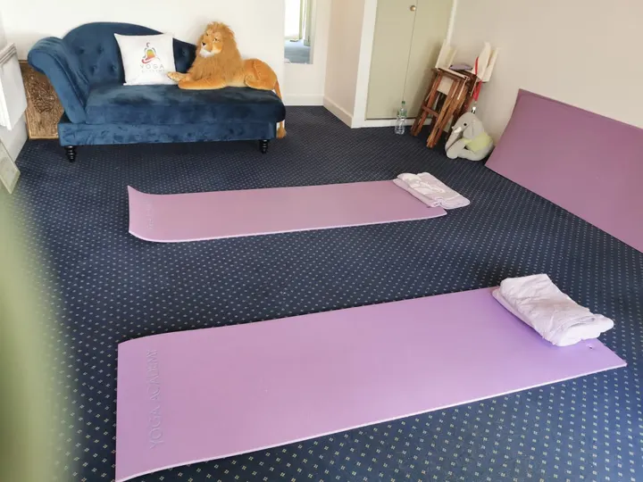 ACADÉMIE FRANÇAISE DE YOGA — yoga-studio à Paris 5e Arrondissement, Paris — 2