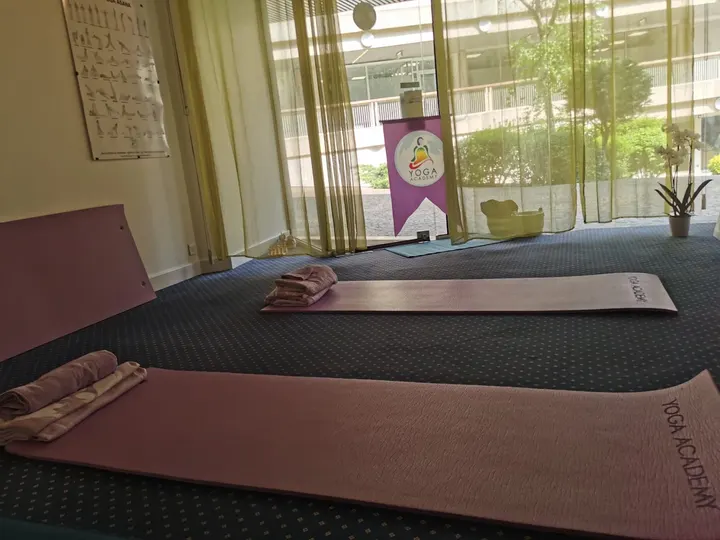 ACADÉMIE FRANÇAISE DE YOGA — Yoga à Paris 5e Arrondissement, Paris