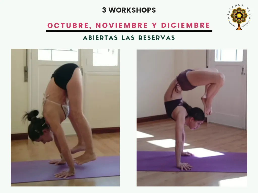 Ananda Yoga Tenerife — yoga-studio i Barrio Nuevo, Santa Cruz de Tenerife — 2