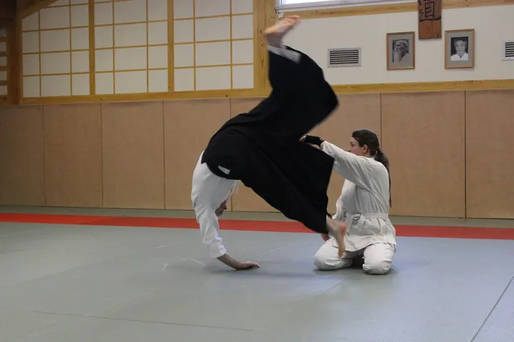 Aikido du Parc — arts martiaux-studio à Port du Canal, Dijon — 2