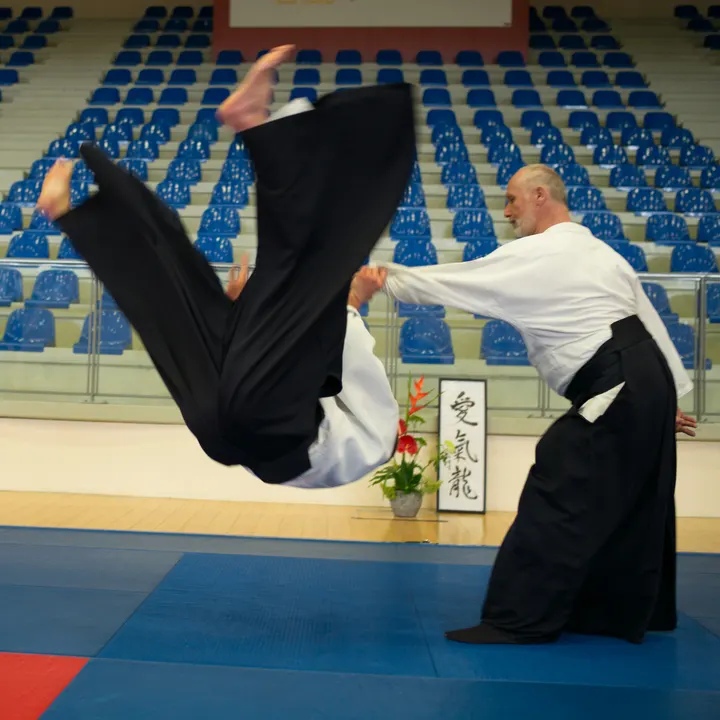 Aikido du Parc — arts martiaux-studio à Port du Canal, Dijon — 3