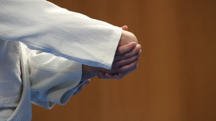 Aikido du Parc — arts martiaux-studio à Dijon — 3