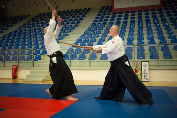 Aikido du Parc — arts martiaux-studio à Dijon — 4