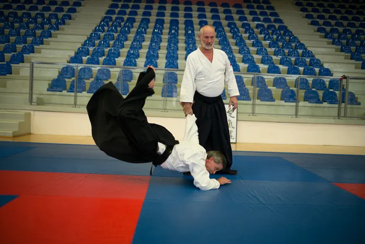 Aikido du Parc — arts martiaux-studio à Dijon — 5