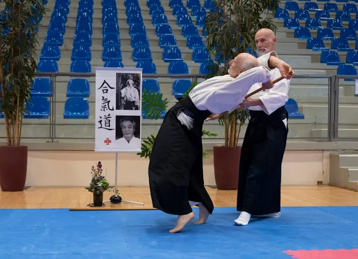 Aikido du Parc — Arts martiaux à Port du Canal, Dijon