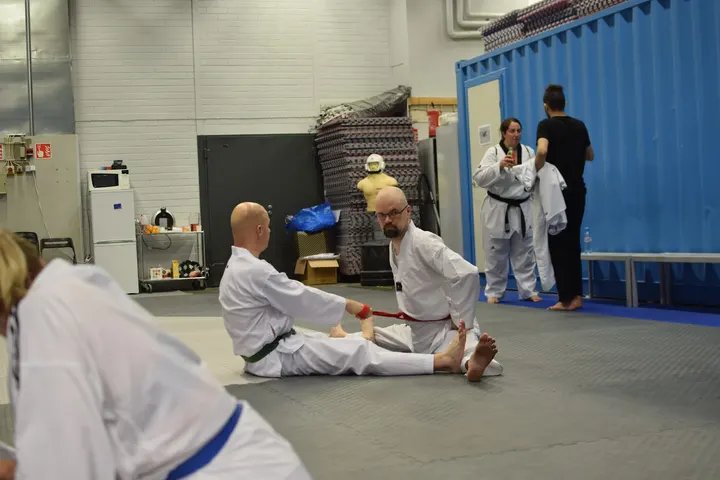 Taekwondourheilijat 2011 — kamppailulajit-studio – Helsinki — 4