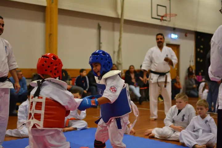 Skoger og Fjell Karate Klubb — kampsport-studio i Fjell, Drammen — 3