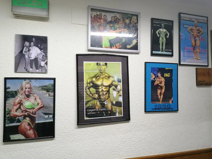 Gimnasio Olympia — estudio de fitness-studio en Pamplona — 4