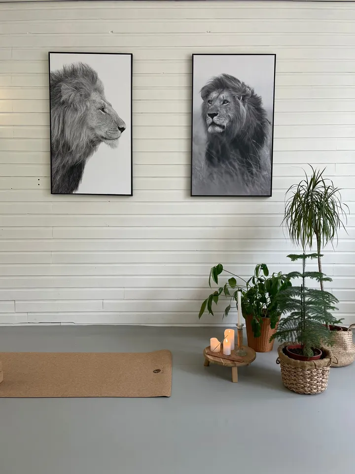 Simha Yoga Studio — yoga-studio in Leeuwarden — 3