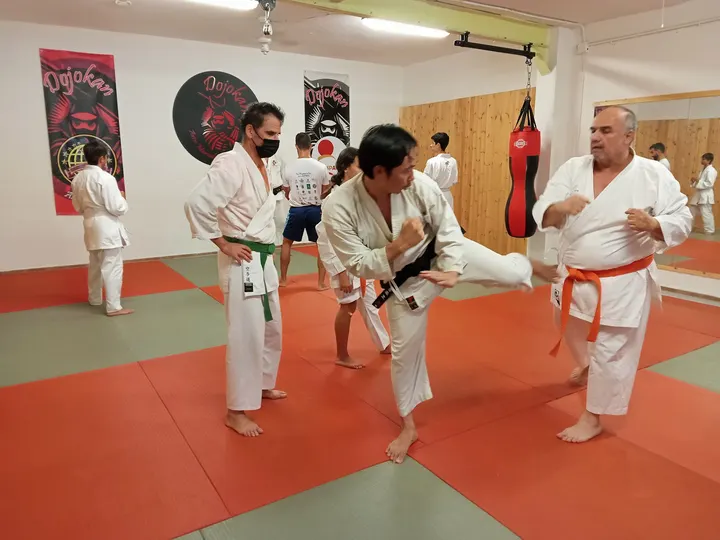 ShorinjiKempo Las Palmas — artes marciales-studio en Las Torres, Las Palmas de Gran Canaria — 3