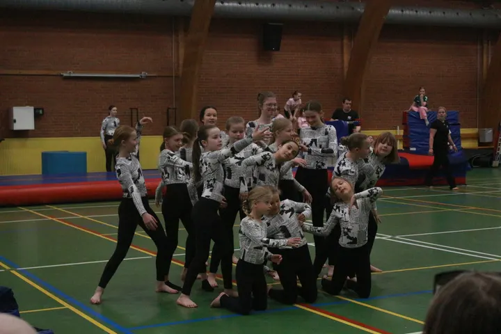 Fgif-Gymnastik — Gymnastik i Odense