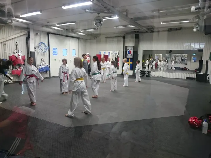Team One Taekwondo — kampsport-studio i Västerås — 3