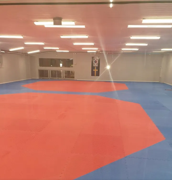 Team One Taekwondo — kampsport-studio i Västerås — 4