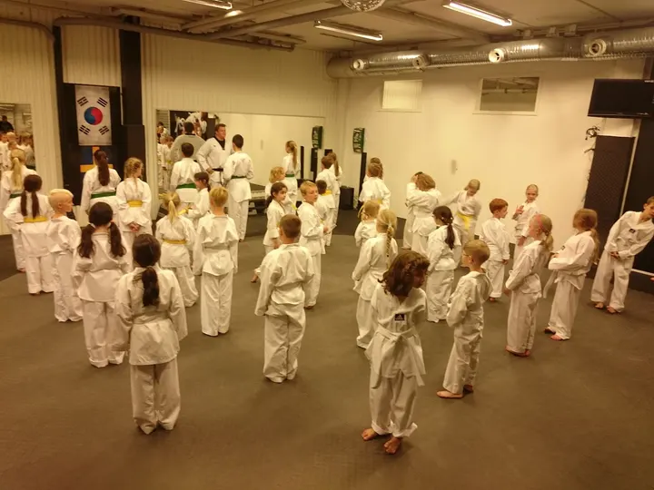 Team One Taekwondo — Kampsport i Sätra, Västerås