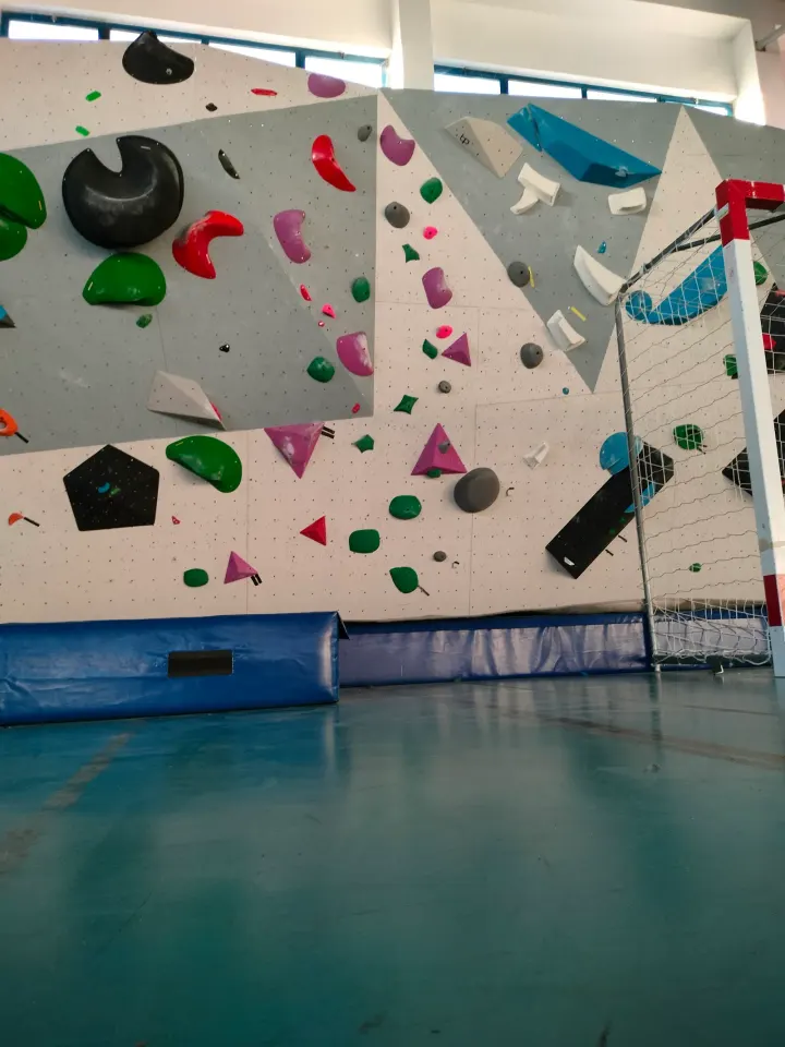 Gimnodesportivo do Paião — Ginásio em Figueira da Foz