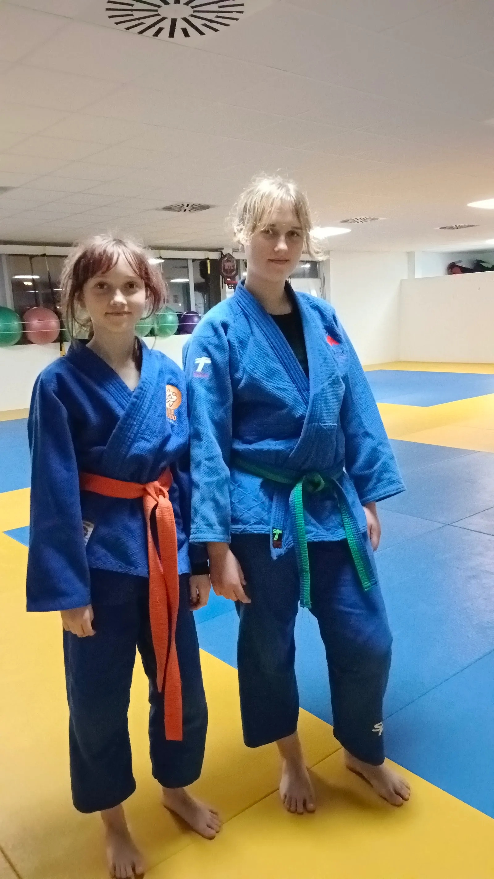 Judo Club Orihuela — artes marciales-studio en Orihuela — 3