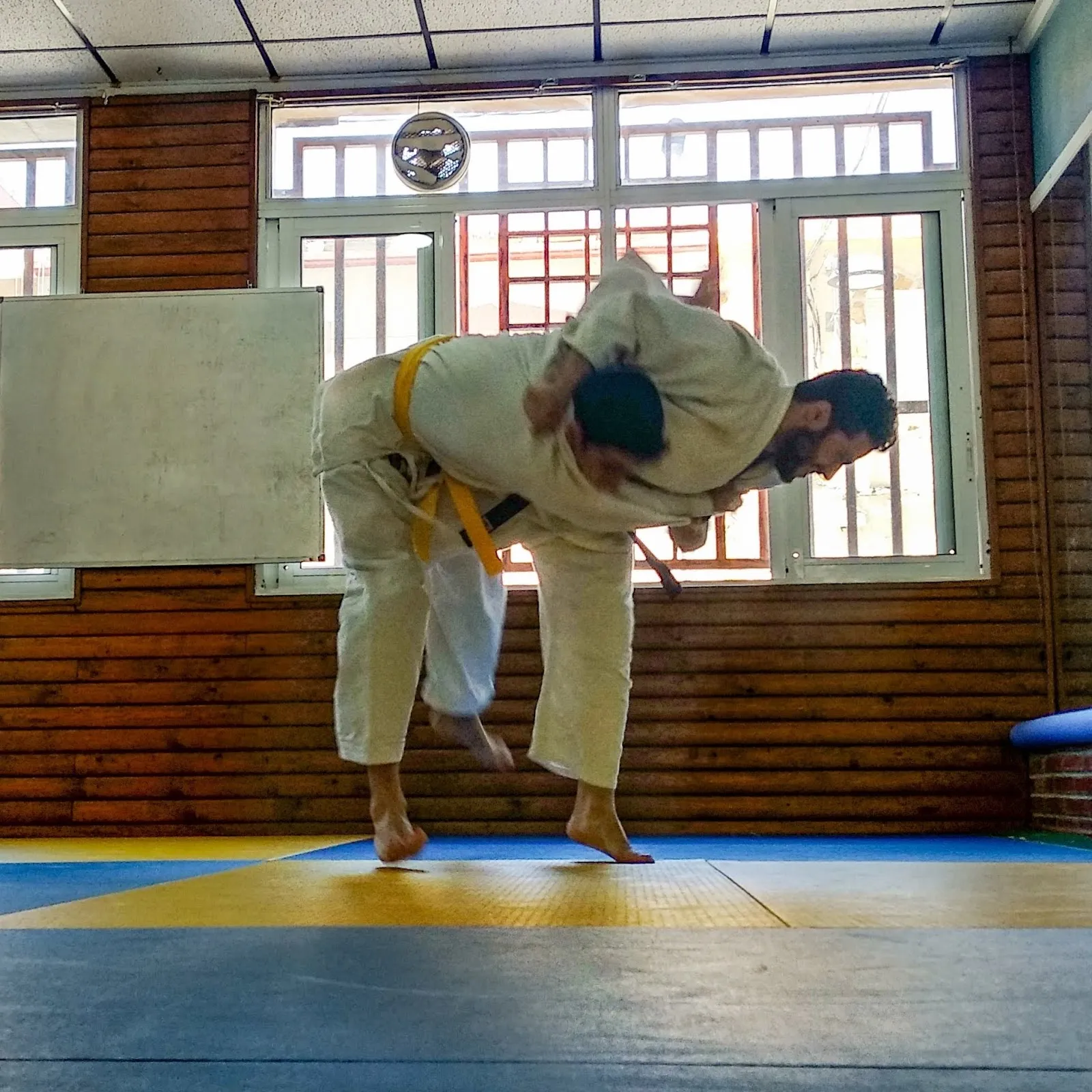 Judo Club Orihuela — artes marciales-studio en Orihuela — 4