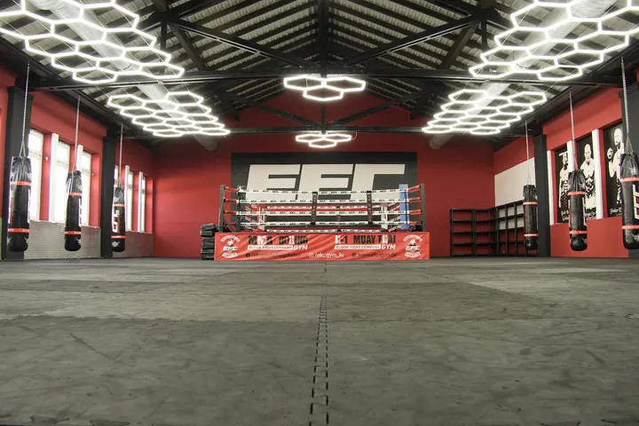 EFC Gym - Ludwigshafen — MMA in Ludwigshafen-Rheingönheim, Ludwigshafen am Rhein