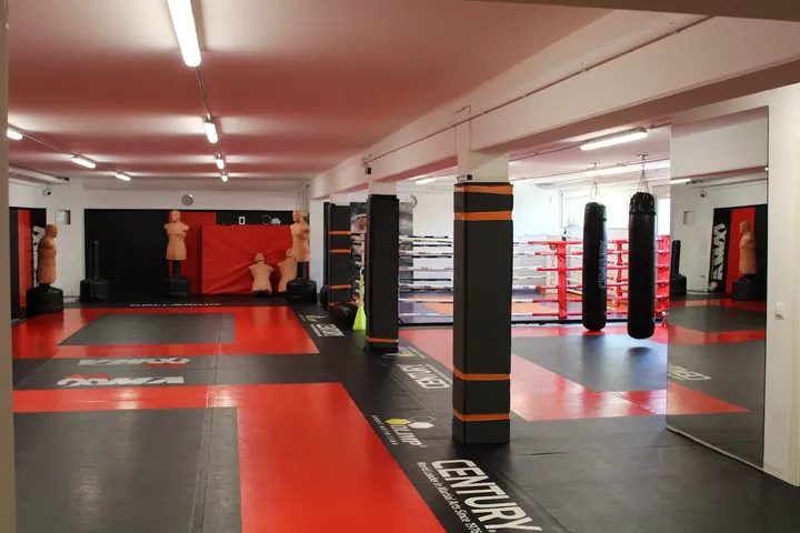 Fuchs - Kampfsport — kampfsport-studio in Ludwigshafen-Oggersheim, Ludwigshafen am Rhein — 2