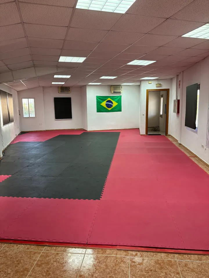 Escuela de Artes Marciales AM Leganés — Artes marciales en Vírgenes, Leganés