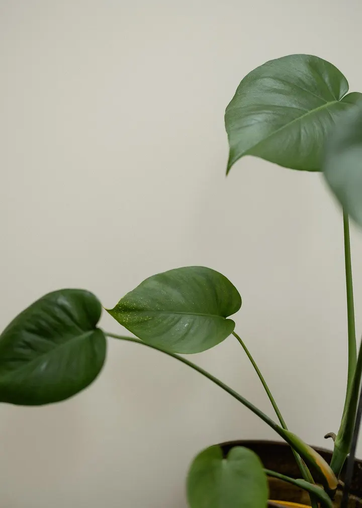 Salt Studios — yoga-studio in Twickenham, London — 3