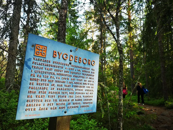 Vardåsen bouldering og klartrevegg — klatring-studio i Brekkeskog, Ås — 3