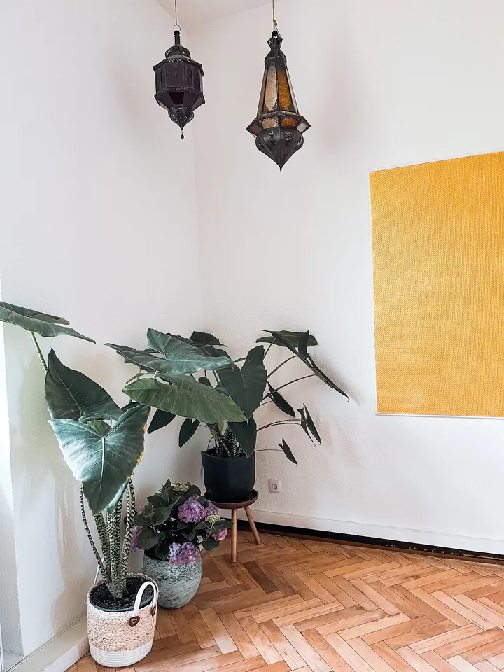 Auryn Yoga — yoga-studio in Eicken, Mönchengladbach — 3