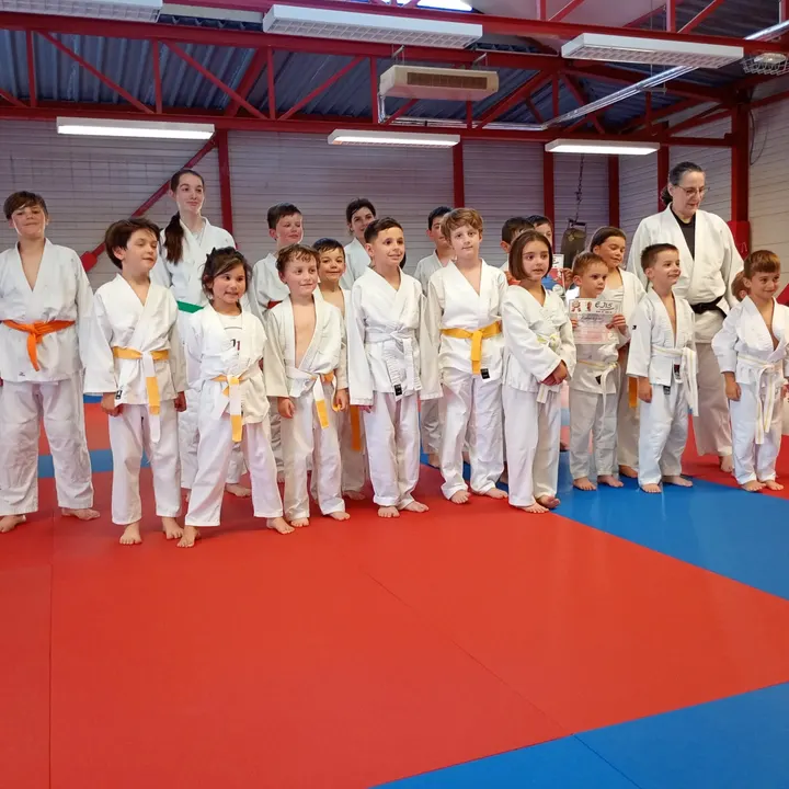 Ecole de Judo 15 Des Camisières — arts martiaux-studio à Marmiers, Aurillac — 2