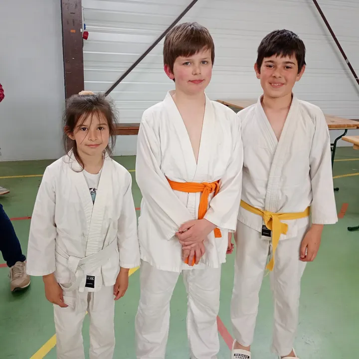 Ecole de Judo 15 Des Camisières — arts martiaux-studio à Marmiers, Aurillac — 3