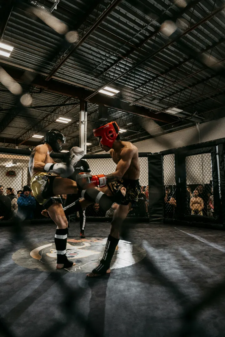 Crusader MMA — Vechtsport in De Kooy, Den Helder