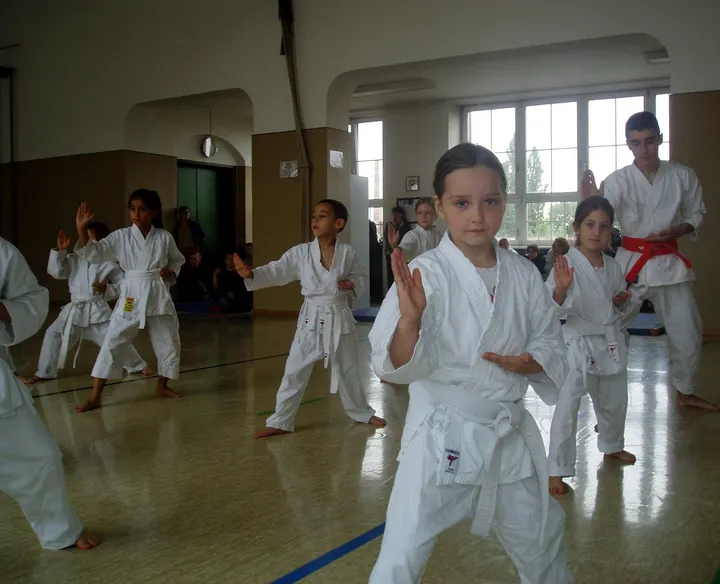 Karate Dojo Darmstadt e.V. — kampfsport-studio in Darmstadt-Nord, Darmstadt — 3