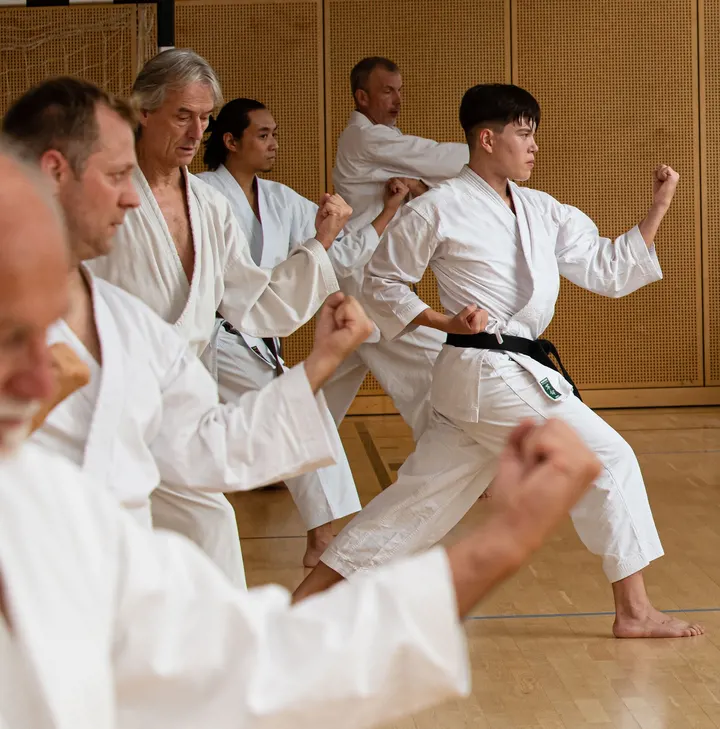 Karate Dojo Darmstadt e.V. — Kampfsport in Darmstadt-Nord, Darmstadt