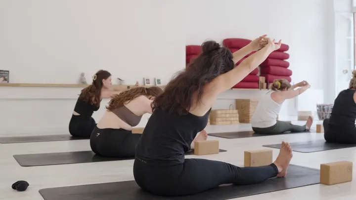 Le Singe Yoga — yoga-studio à Capitole / Arnaud Bernard / Carmes, Toulouse — 3