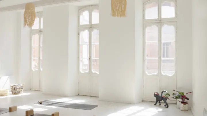 Le Singe Yoga — yoga-studio à Toulouse — 4