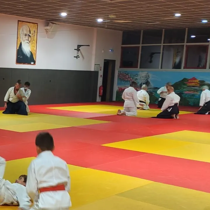 Aikido Cabestany — arts martiaux-studio à Cabestany — 4
