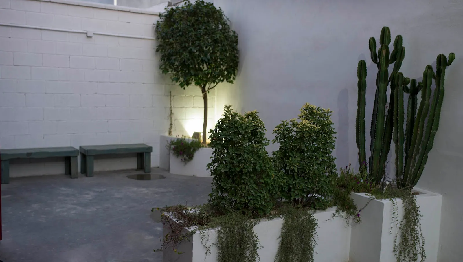 Inssai. Centro De Yoga — yoga-studio en Gines — 3