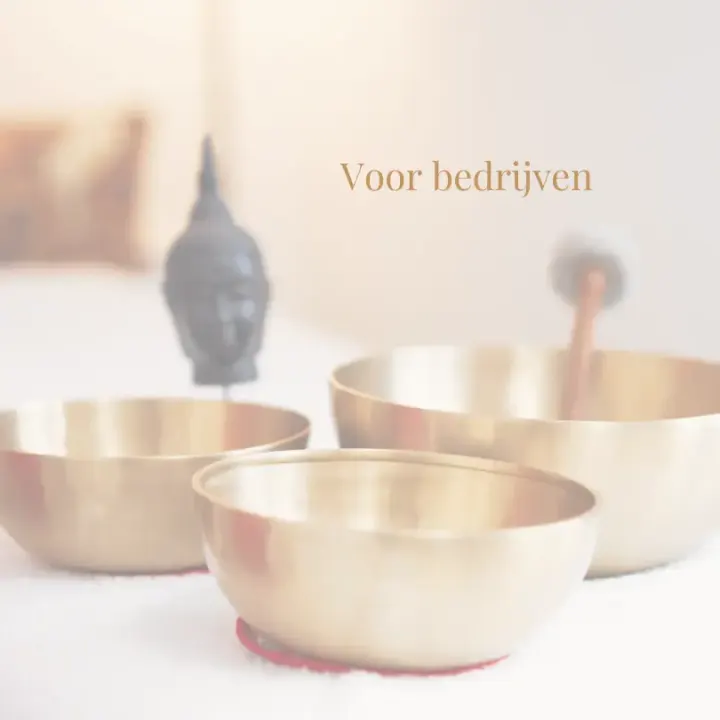 Sacred Suara — meditatie-studio in Zaandam — 3