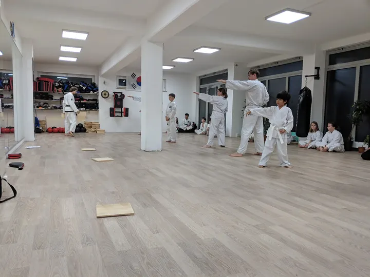Traditionelles Taekwon-Do Dresden Löbtau — Kampfsport in Löbtau-Süd, Dresden