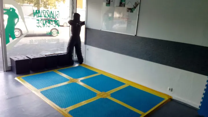 Guardian Defense Akademie — kampfsport-studio in Schifferstadt — 3