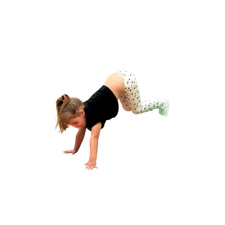 Cartwheelers Gymnastics — gymnastics-studio in Victoria, Newport — 2