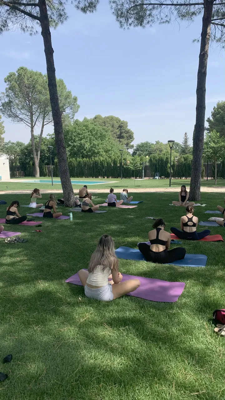 Dana Yoga Albacete — yoga-studio en Albacete — 5