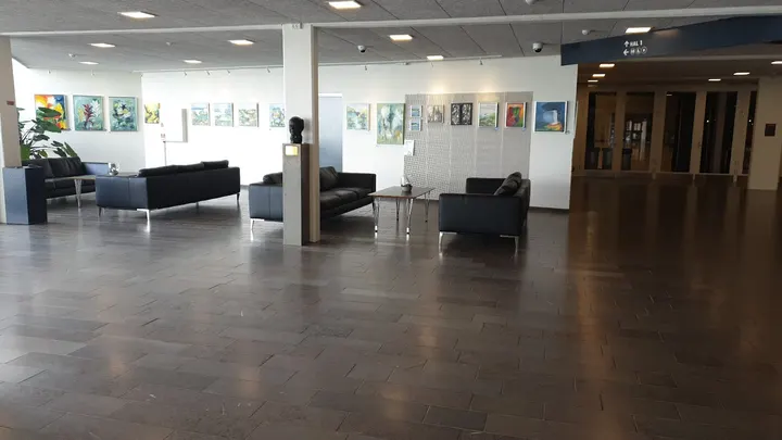 Vejle Judo Klub — kampsport-studio i Vejle — 5