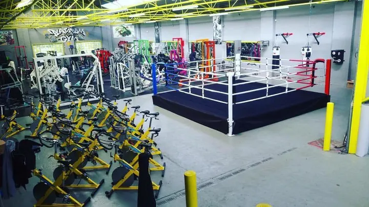 Platinum Gym & Fitness Centre — fitness studio in Stubbers Green, Walsall — 2